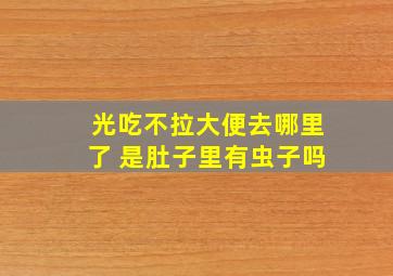 光吃不拉大便去哪里了 是肚子里有虫子吗